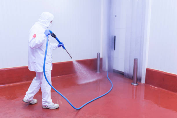 Best Winterizing Services  in Limesa, CA